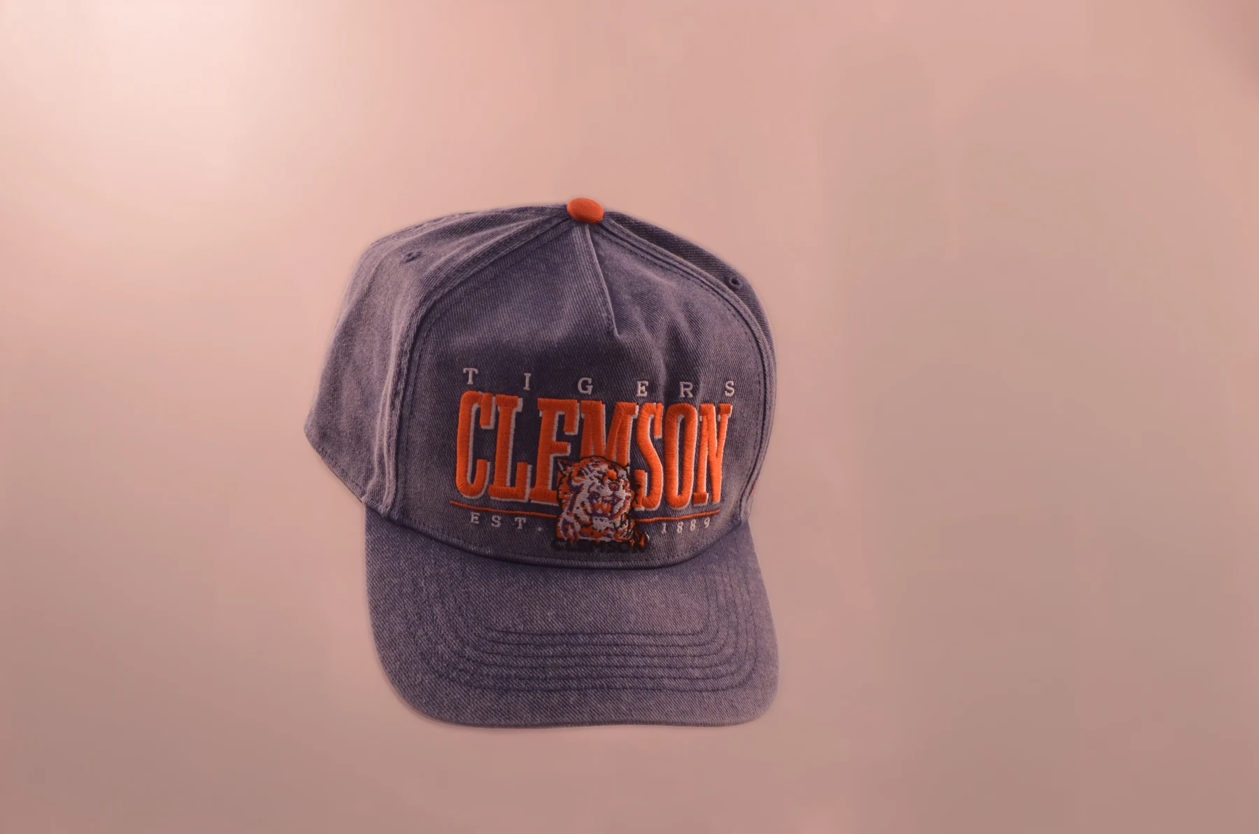 Clemson hat portrait