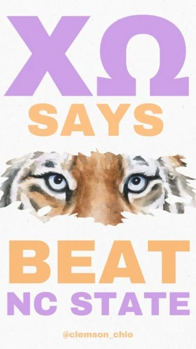 Clemson Chi Omega graphic 10
